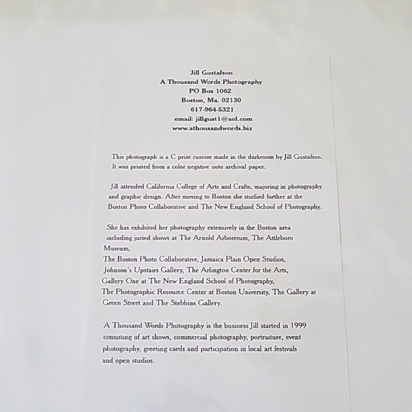 Abandon Railroad Tracks Photograph by Jill Gustafson - Picture 4 of 5